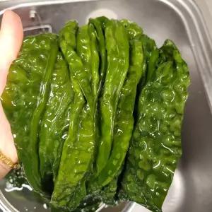 완도 생곰피 곰피미역 제철 해조류 쌈용 생곰피