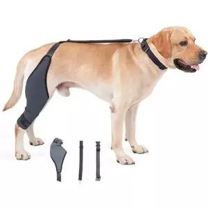 반려견 관절 보호대 고관절 무릎 보조기 강아지 관절 보호대 후지 재활용품 슬개골 산책 용품 안전 재활