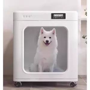 대형견 드라이룸 큰개 반려동물 목욕 털말리는 기계 강아지