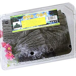 [2개구성] 다용도 탈취 요리 화분 미니 자연 인테리어 부작 편백 참 숯 가습기 공기 정화 KW7F2956