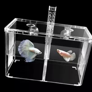 [에이치플러스몰]열대어치어통 합사전 산란통 암컷 수컷 합사케이스 투명