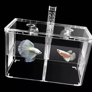 열대어치어통 합사전 산란통 암컷 수컷 합사케이스 투명