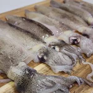 급냉 통찜한치 1팩 500g 11-18미내외 냉동 총알한치 통찜용