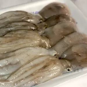 당일조업 출발 대천항 생물 주꾸미 1kg