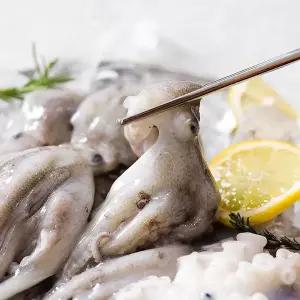 [자연맛남][26년제철] 고흥 정품 A급 활 쭈꾸미 1kg 5-8미 (선별 주꾸미)