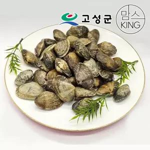 [공룡나라]동성수산 국산 생물 활바지락 1kg / 경남 고성