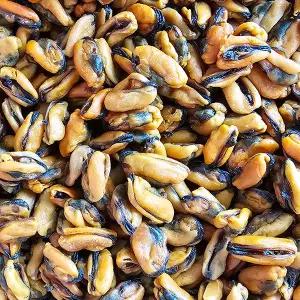 국내산 건홍합 500g