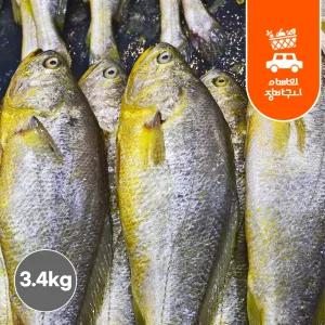 냉동 부세 3.4kg 조기 손질 부세조기 업소용 제수용 식당용 도매 냉동