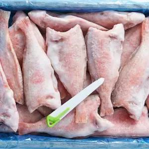 손질 두절 볼락 4kg 적어 열기 빨간고기 장문볼락 업소용