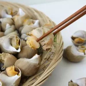 골뱅이소면  캠핑요리 쫄깃하고 달큰한 동해안 국내산 백고동 1KG 백골뱅이