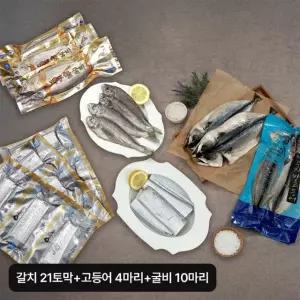 제주 수산물 3종(갈치 21토막+자반고등어 4마리+굴비 10마리)