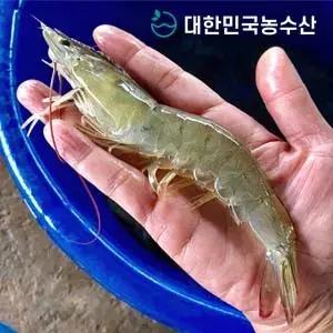 [대한민국농수산]국산 흰다리새우 특왕새우 급냉새우 1kg  27미 내외) 외