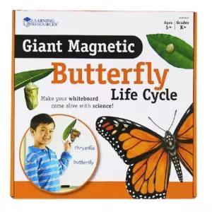 나비한살이 곤충학습 유아 자석교구 방과후 과학놀이 관찰력 만들기수업 돌봄교실