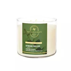 배스앤바디웍스 쓰리윅 캔들 유칼립투스 스피어민트 BNS