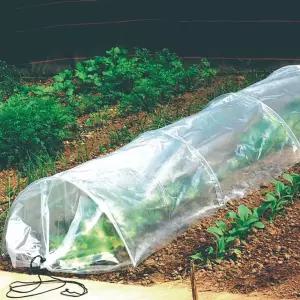 텃밭 비닐하우스 접이식 터널 소형 온실 3m DD-13093