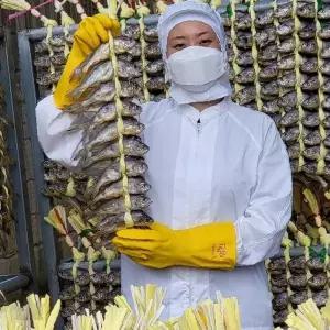 법성포 조기 녹차 숙성 가정용 선물 세트 조기 건조 염장 수산물 반찬 밑반찬