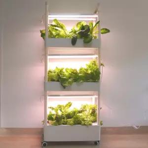 식물재배기 수경 재배기 가정용 상추 재배 실내 키우기 스마트팜 3단 채소