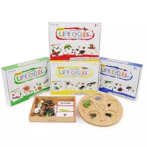 개구리 나비 거북이 달팽이 성장과정 피규어 카드 세트 어린이집교재