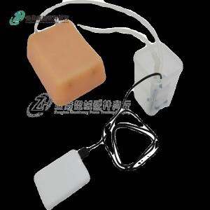 초음파 유도 혈관 천자 모델 PICC 카테터 삽입 훈련 컬러 도플러 순환 시뮬레이션