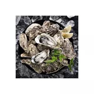 파머스토리 통영 석화 통각굴 4kg 통영산지직송 957643