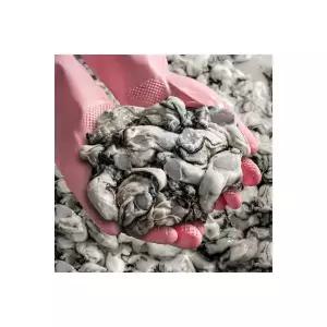 파머스토리 국내산 통영 생굴 1kg 산지직송 회초장 957647