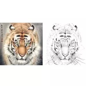 호랑이 그리기 풍수 복들어오는 정면얼굴 흰수염 밑그림 도안