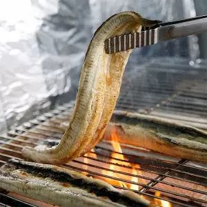 갤러리아 프리미엄 자포니카 국내산 풍천민물장어1kg+소스2종1개+초생강채1