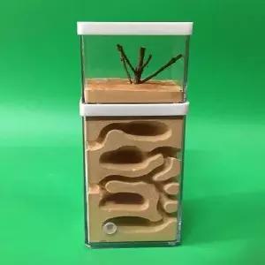 개미 집 키우기 관찰 세트 키트 사육장 하우스 투명 앤트