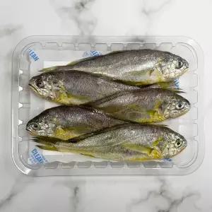 조기조림 참조기 구이 생조기 생물 손질 400g 굴비