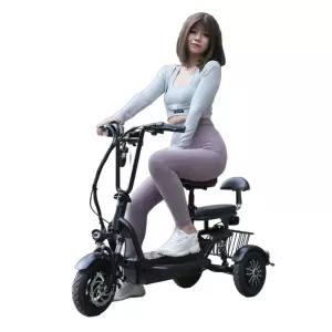 접이식 삼륜 30KM 화이트 전동 전기 자전거 2인승