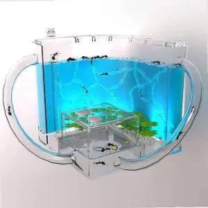 개미관찰 사육장 하우스 led 만들기 개미집 곤충키우기