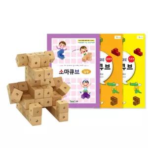 초등수학 원목 입체블록 소마큐브 교재세트 교육용 창의블록 학습교구 초등학생
