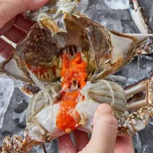 50년 전통 명가 연평도 암꽃게 빙장 1kg(3-5미)