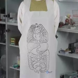 인체 내장기관 소화계 소화기관 골격 일회용 앞치마 집콕놀이 과학실험용 두뇌개발