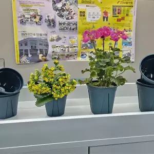 분갈이 플라스틱 슬릿화분 그린 중형