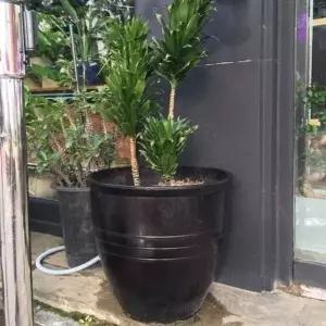 [에이치플러스몰]ksr 슈퍼싸이즈 장독대형(초대형) 60x55cm 큰화분