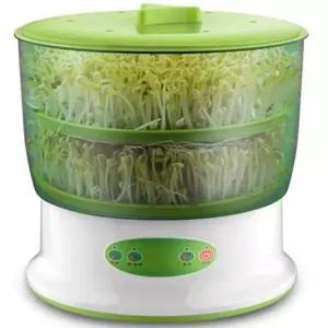 집에서콩나물키우기 콩나물자동재배기 새싹