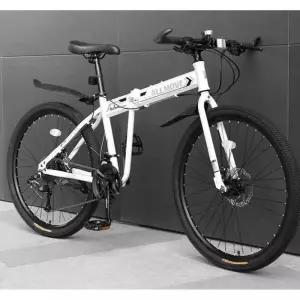 접이식자전거 폴딩 클래식 접는자전거 성인용 접는