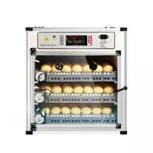 병아리육추기 계란 곰 알품는기계 가정용 부화기 공급