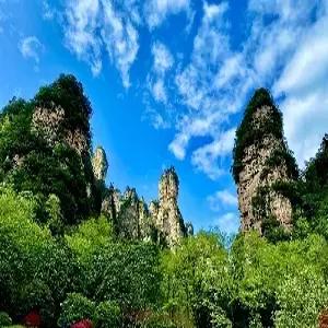 [청주출발]장가계/원가계 5일#다드림#관광지 중심 5성호텔 #1:1 프리미엄 리무진버스 #BBBQ푸드트럭 #포토북 #특식4회