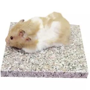 기본 햄스터 침대 애완 칠러 매트 애완동물 대리석 패드