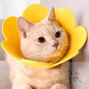 문킴마켓 문킴마켓 부직포 넥카라 고양이넥카라