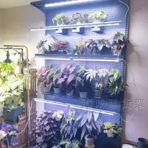 보관함 전동건 거치대 전시 총기 스탠드 총 총기진열대