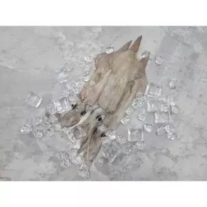 선물세트 동해안 잇템 물회용 1팩 추천 한치 15미 선물용 인기제품 내외 급냉 캠핑안주 1kg