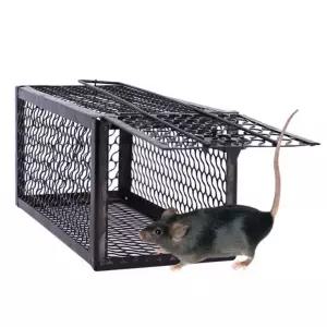 쥐트랩 마우스트랩 통망 쥐덫 추천제품 쥐퇴치 신상 쥐?