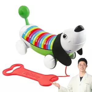 립프로그 알파벳퍼피 9개월 돌 아기장난감