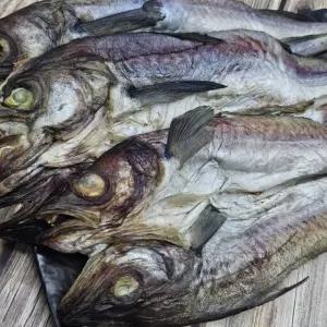 코다리 명태 6미 반건조