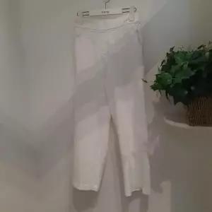 A&me HC06 나이스PT  K33101 iv