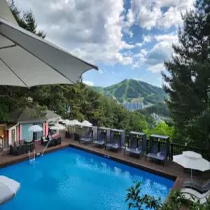 [강원 펜션] 횡성 숲속의연인별펜션 (홍천,횡성)