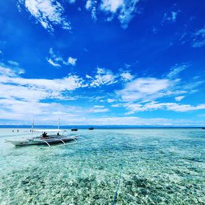 [보홀] 스타인 발리카삭 호핑 (돌핀왓칭, 거북이, 버진아일랜드, 푼톳, 샌드바, 픽드랍)